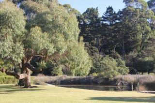Tawharanui Lodge Warkworth Εξωτερικό φωτογραφία